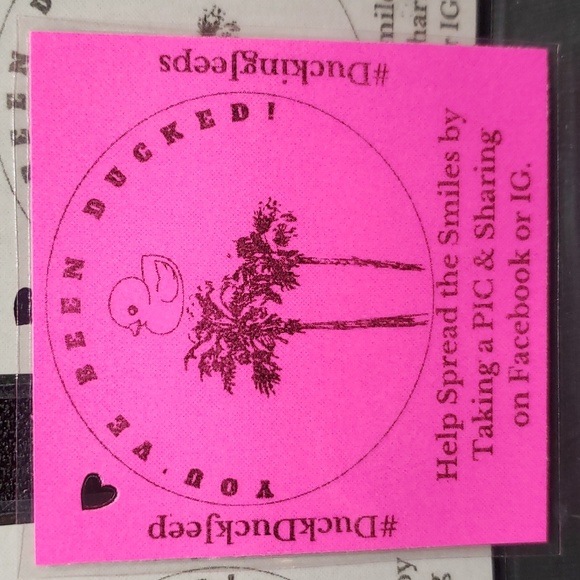 Lot of 5 Ducks with Laminated Ducking Tags! #DuckDuckJeep #DuckingJeeps - Picture 9 of 13